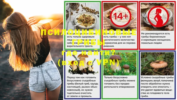 амф Абаза
